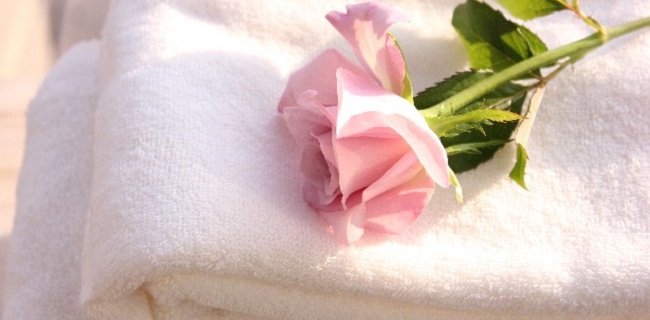 し　使用前のタオルと薔薇の花1
